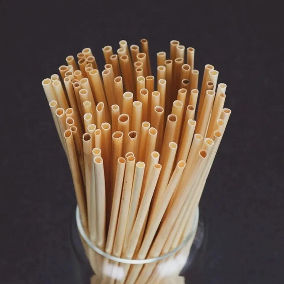 100pcs/set Pure Natural Plant Wheat Straw Environmental Protection Straw Drink Cocktail Disposable Straws Degradable